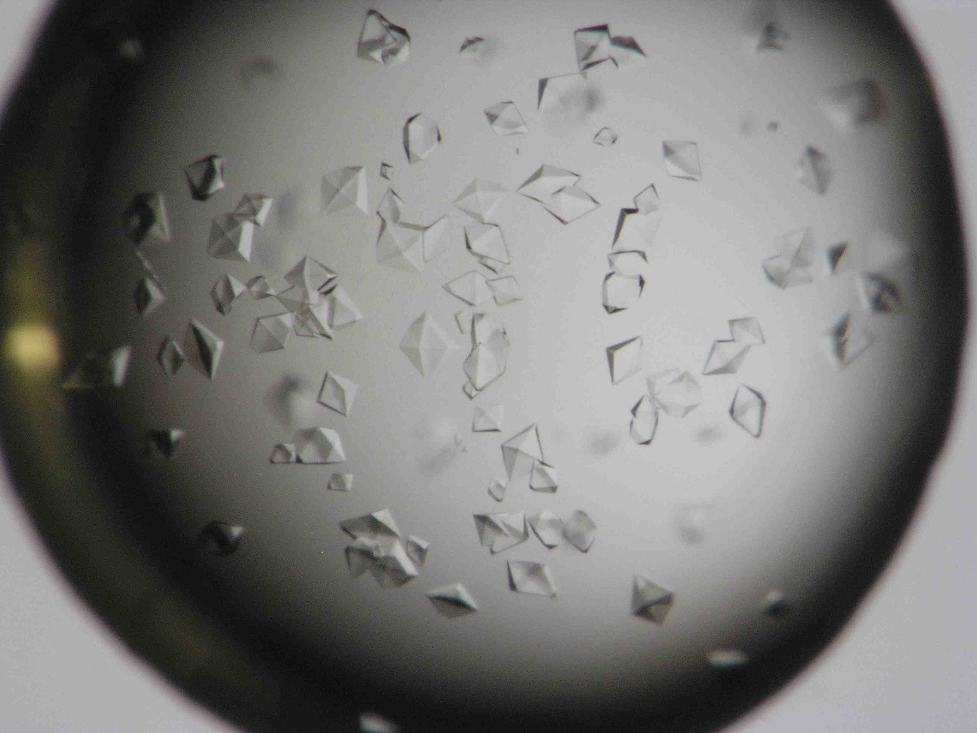 karyopharin crystals